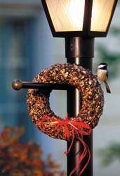 Christmas Seed Wreath